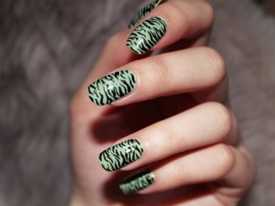 sxedia-nyxia-animal-printed-8