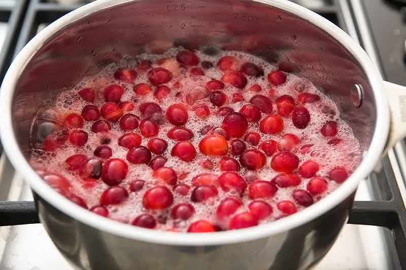 cranberry-sauce-σάλτσα κράνμπερι