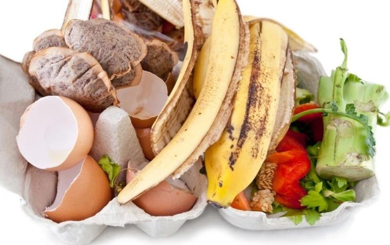 Κομποστοποίηση στο Μπαλκόνι σας. Πως και Γιατί! - womanoclock