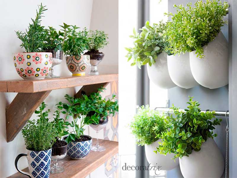 Φύτεψε Βότανα στην Κουζίνα σου