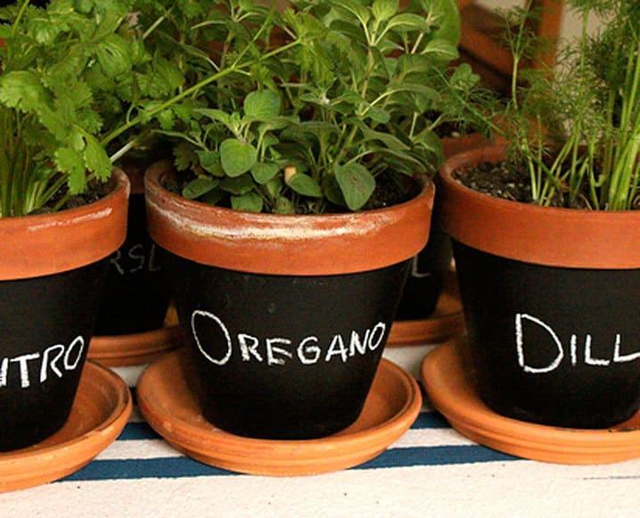 Φύτεψε Βότανα στην Κουζίνα σου