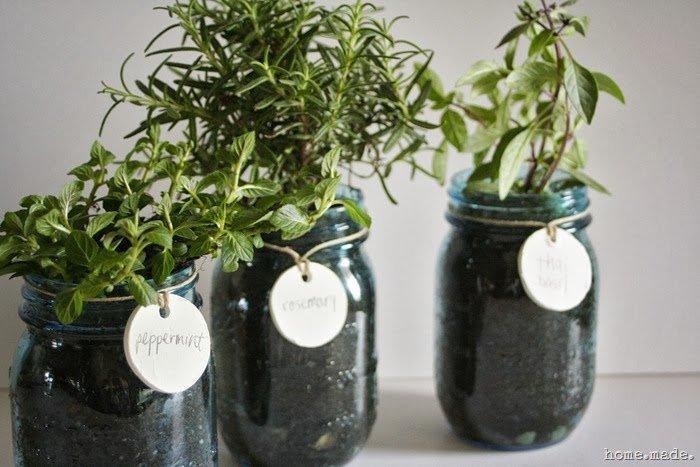 Φύτεψε Βότανα στην Κουζίνα σου